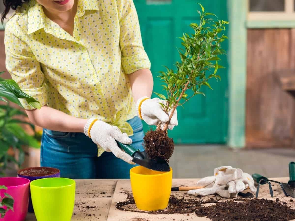 a woman gardening at home