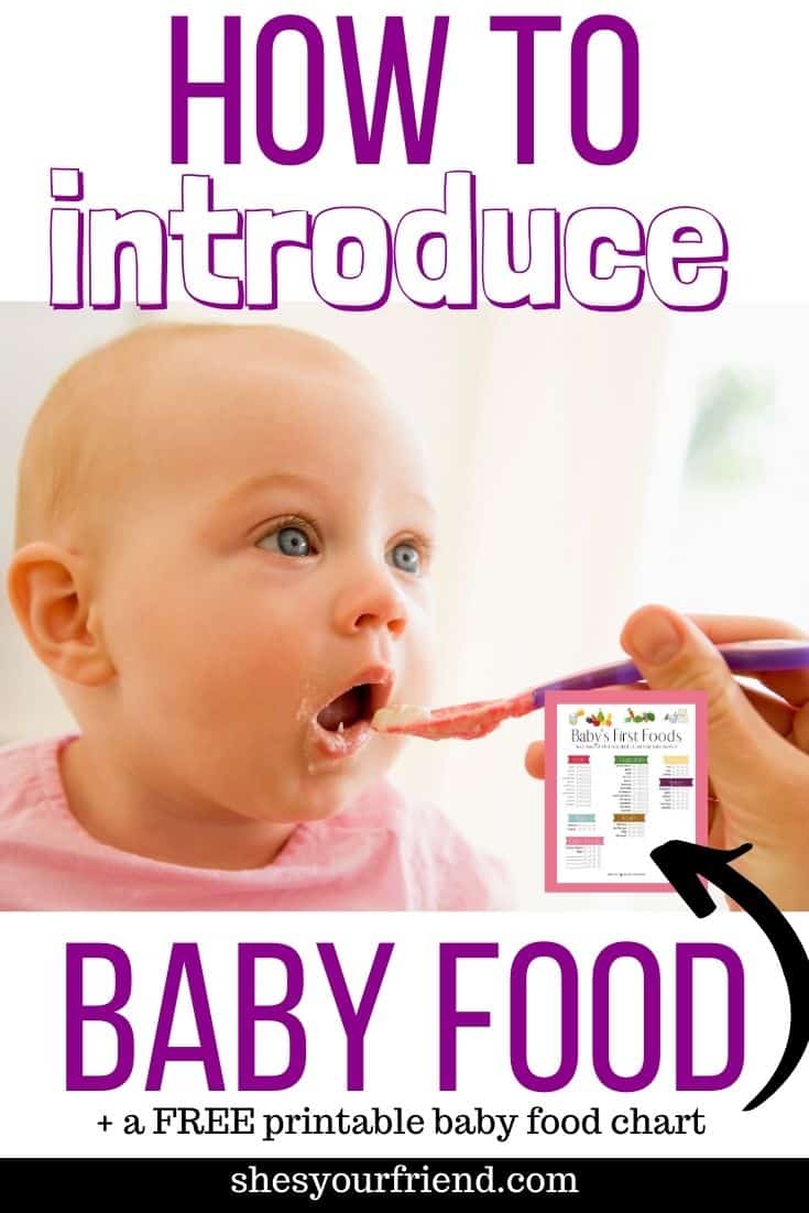 Introducing Baby Food: A complete Guide - She's Your Friend