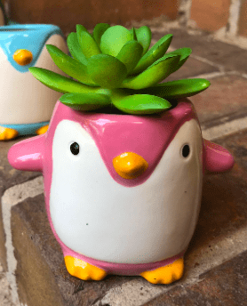 a pink penguin planter with a succulent in it