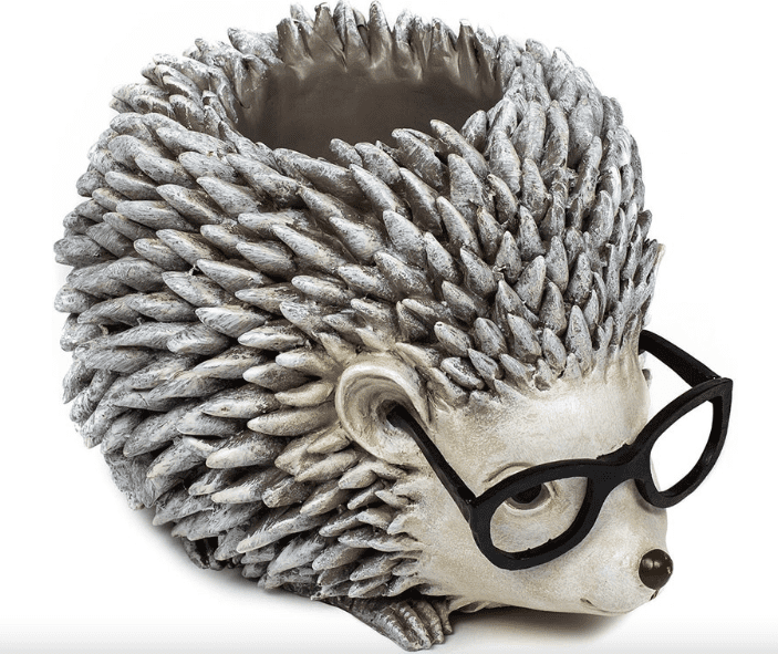 a planter shaped like a hedgehog wearing glasses