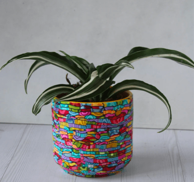 bright colorful abstract planter with an plant growing in it