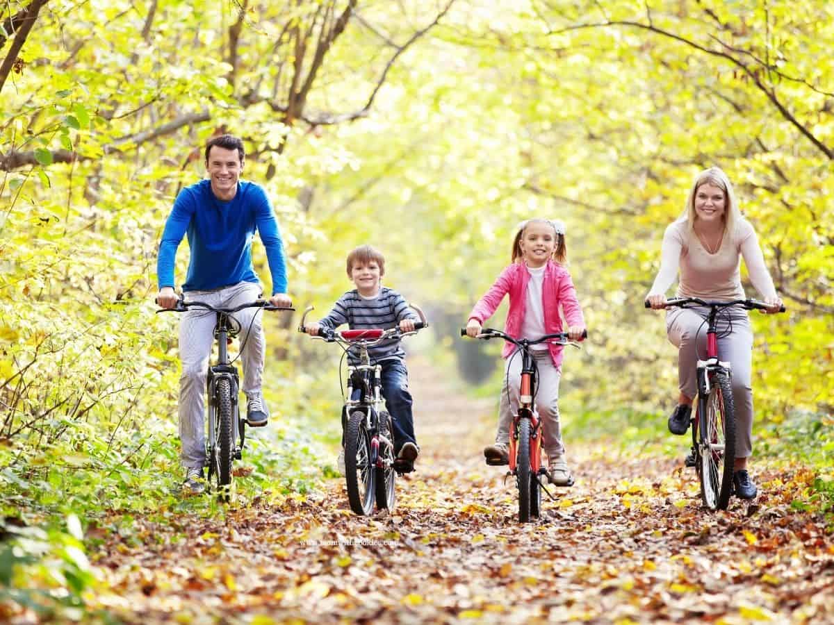 a family of four on their bicycles in the forest