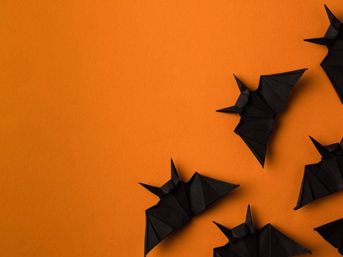 halloween paper origami bats on an orange background