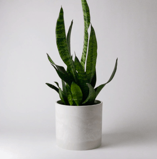 mid century modern white and gray planter