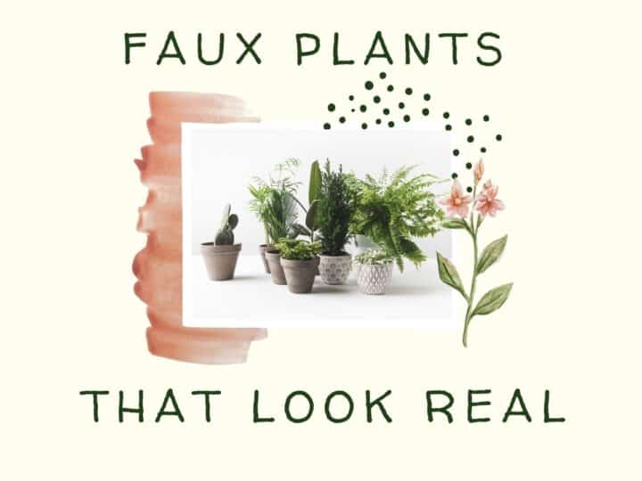 a bunch of artificial plants in pots with text overlay that reads faux plants that look real