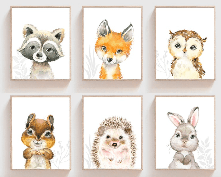six framed baby animal prints