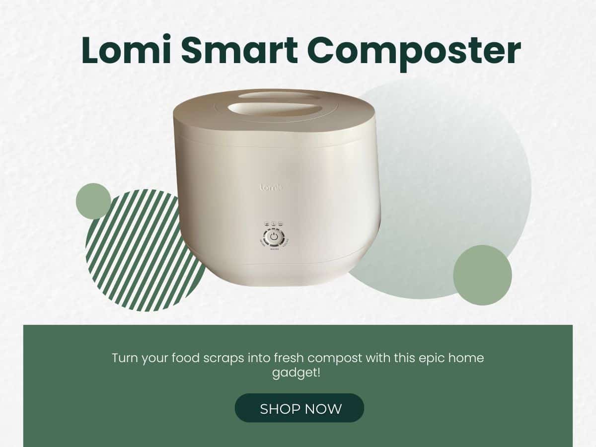 Lomi smart composter with text overlay that reads lomi smart composter turn your food scraps into fresh compost with this home gadget shop now