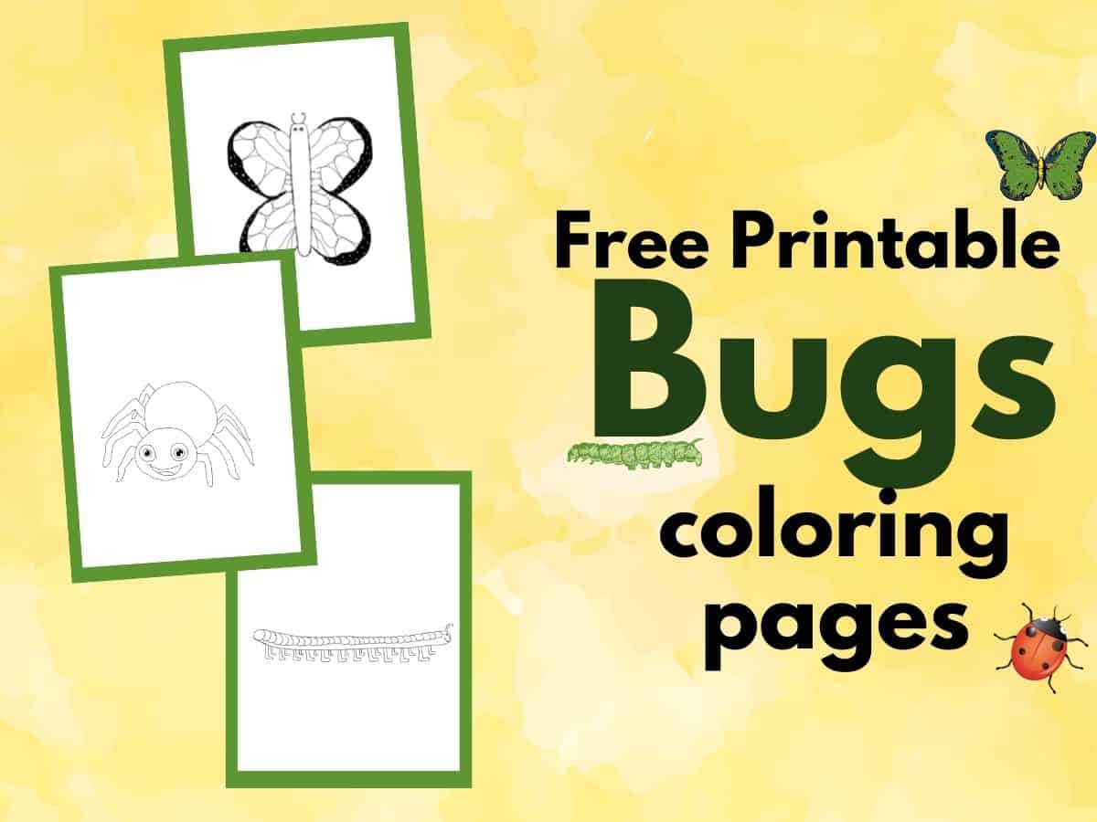 three coloring pages with text overlay that reads free printable bugs coloring pages