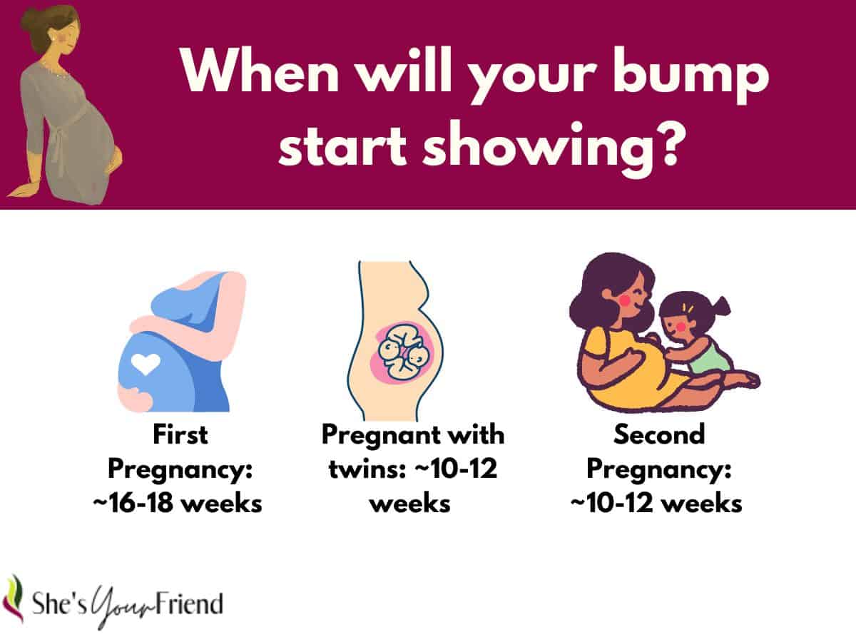 an infographic about when a pregnant woman will start showing her baby bump