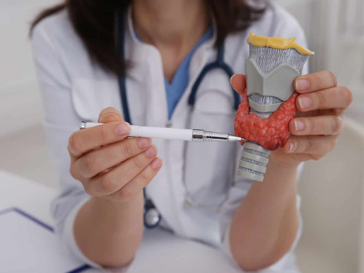 a doctor holding a model of a thyroid