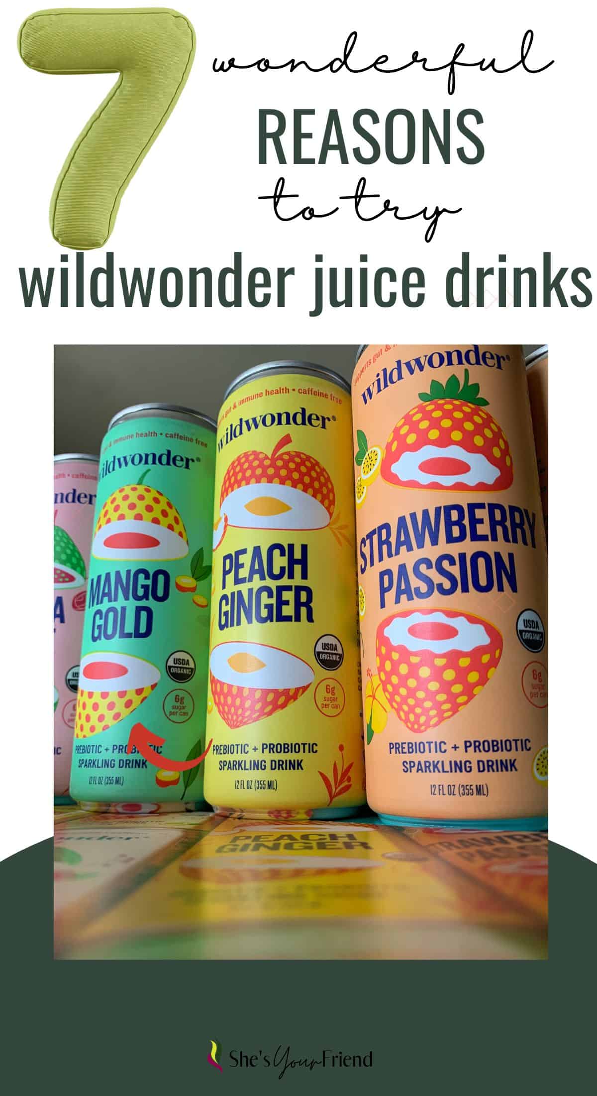 Wildwonder Sparkling Juice Drink Review (the Gut Health Soda You Need ...