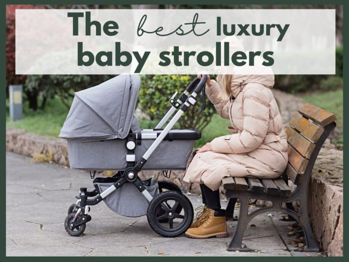 a mom with a stroller in a park with text overlay that reads the best luxury baby strollers